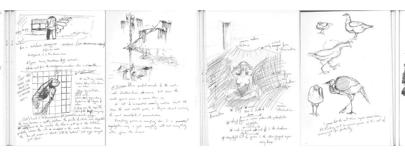 Black-and-white sketches of animals, people, and landscapes fill the pages of a sketchbook alongside handwritten notes.